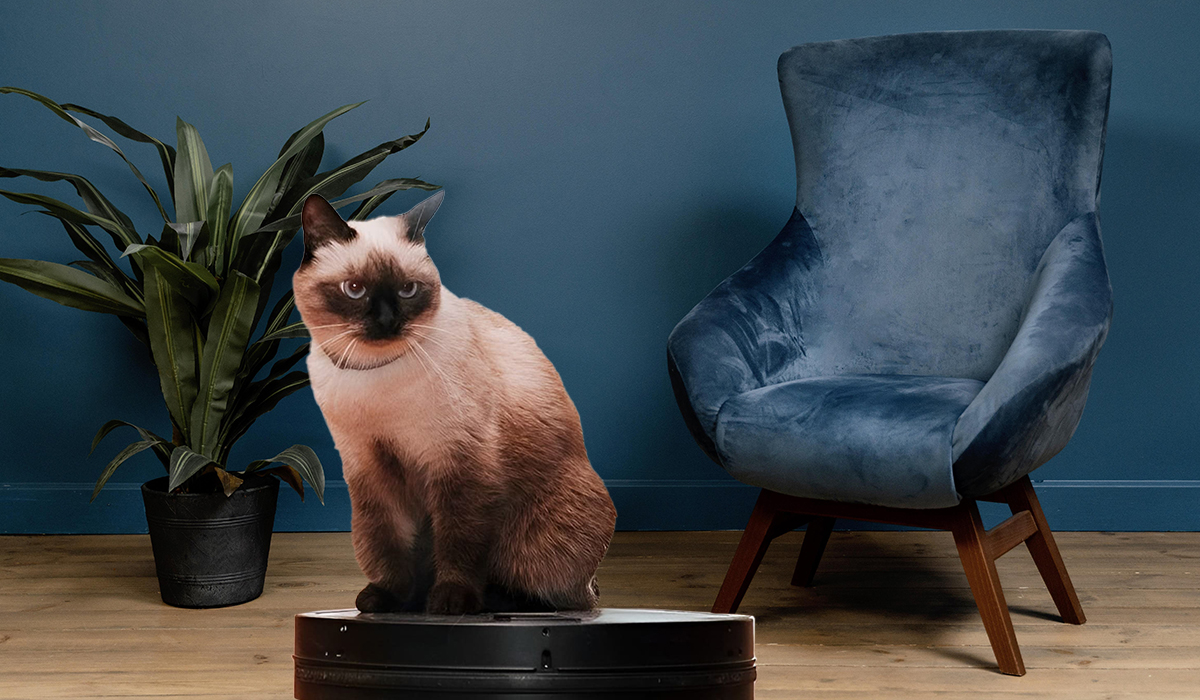 Рейтинг лучших роботов-пылесосов в 2026 году