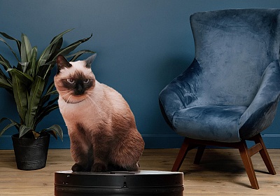 Рейтинг лучших роботов-пылесосов в 2026 году